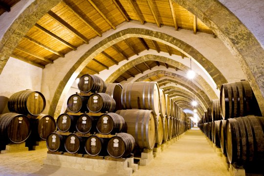 Marsala Wineries Excursion - Oasi Favignana Village