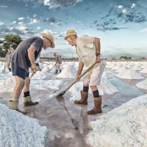 Excursion to Trapani salt flats.